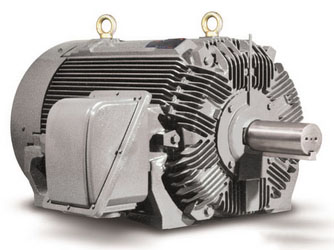TECO High Voltage Motor