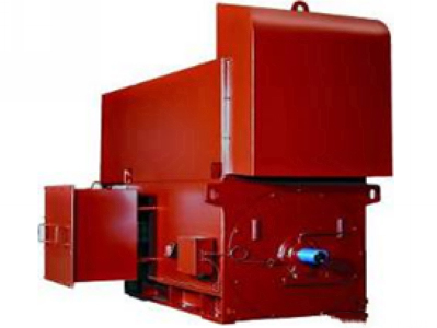 TECO High Voltage Motor