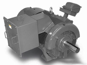 TECO High Voltage Motor